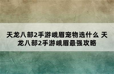 天龙八部2手游峨眉宠物选什么 天龙八部2手游峨眉最强攻略